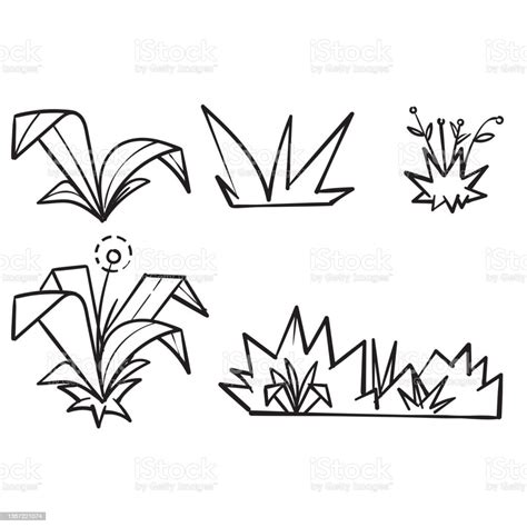 Hand Drawn Doodle Grass Illustration Vector Isolated Stock Illustration Download Image Now