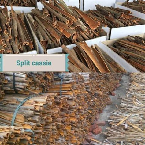 Split Cassia In Vietnam Split Cassia Manufacturers And Suppliers In Vietnam