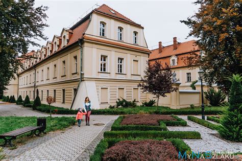 Rybnik i okolice atrakcje turystyczne na weekend Co warto zobaczyć