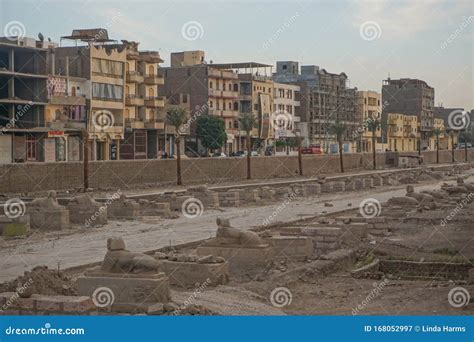 Avenue Of Sphinxes At Entrance To Ancient Egyptian Temple Of Luxor