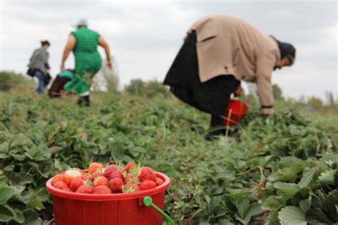 Sfidat e grave në bujqësi Business Magazine Albania