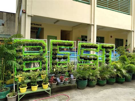 Gulayan Sa Paaralan Baclaran Elementary School Unit