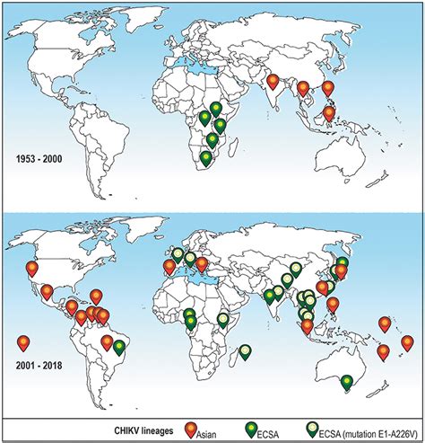 Frontiers Cellular And Molecular Immune Response To Chikungunya Virus