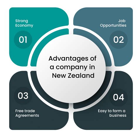 Company Registration In New Zealand in 2023-24 | ODINT Consulting