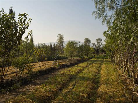 The Chinampas of Mexico City - Resilience Food Stories