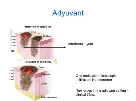 Ipilimumab And Braf Inhibitors Cutaneous Toxicity Ppt