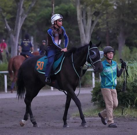 【新潟2歳s】アスコリピチェーノ 切れ味が身上 ベストの新潟マイルで初タイトルだ スポニチ競馬web