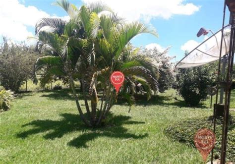 Fazendas à venda na Zona Rural em Caetanópolis Chaves na Mão