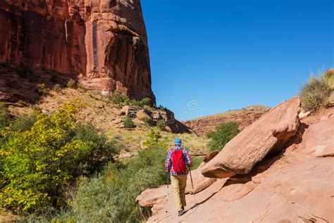 Hike in Utah stock image. Image of people, park, hiking - 163452995