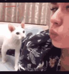 Hot Pussy GIFs Tenor