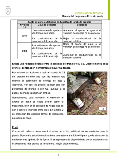 Cultivo Sin Suelo Pdf