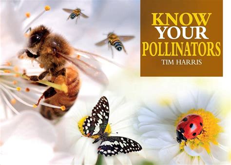 Know Your Pollinators Nhbs Field Guides Natural History