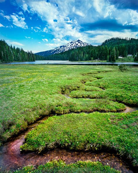 Mt Rainier National Park Fine Art Print Mike Putnam Photography