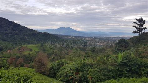 Bogor of Puncak Cisarua Bogor Indonesia Stock Photo - Image of cloud, meadow: 263702122