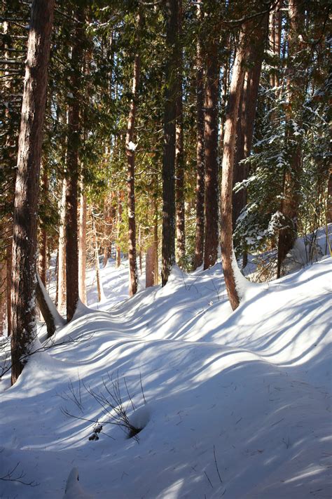 Quebec’s newest provincial park is stunning in the winter | Canadian ...