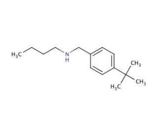 N Tert Butyl Benzyl Butanamine Cas Scbt Santa