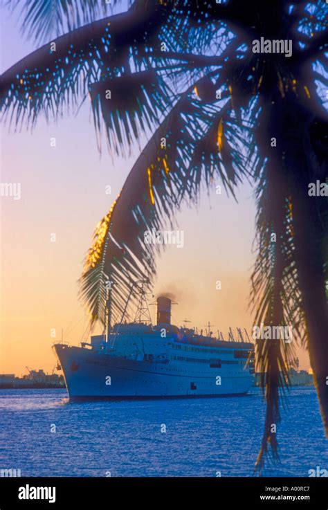 Miami skyline avec palmier Banque de photographies et dimages à haute