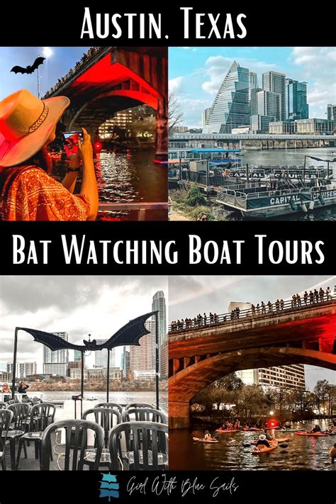 Bat Watching Boat Tours in Austin | Boat tours, Travel usa, Vacation locations