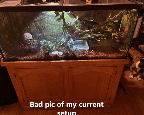 Do suction cups work in pvc enclosures? I’m saving to upgrade to pvc