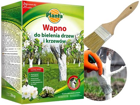 Wapno do bielenia pni drzew drzewek KRZEWÓW Odkwaszania 2kg pędzel