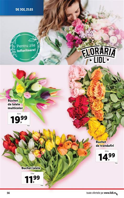 Oferta Floraria Lidl Din 18 Martie 2024 Revista Oferte Lidl