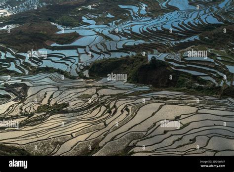 Rice terraces, Yunnan, China Stock Photo - Alamy