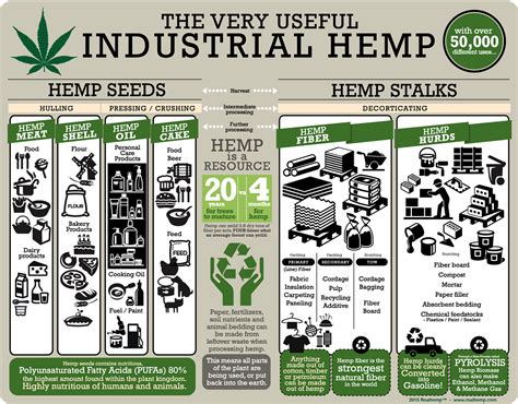 Hemp Products – An Overview ‹ Real Hemp LLC