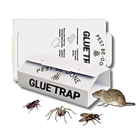 Best Mouse Glue Traps Sticky Pads February