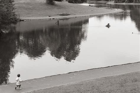 Sefton Park Lake on Behance