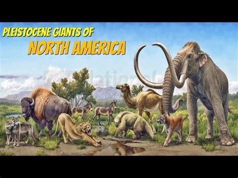 Extinct Pleistocene Megafauna of North America : r/pleistocene