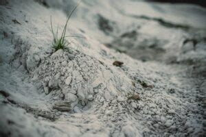 Chalky Soil: Characteristics, How to Improve and Maintain – Garden Glimmers