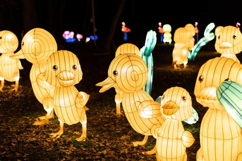 Winter Lantern Festival heads to Smithtown Historical Society | TBR ...