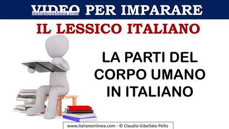 Lessico Italiano Le Parti Del Corpo Youtube