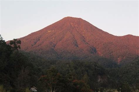 Mount Gede Pangrango National Park Bogor 2021 All You Need To Know