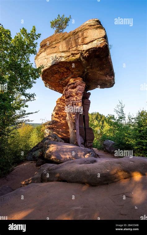 Teufelstisch Bei Hinterweidenthal Fotos Und Bildmaterial In Hoher