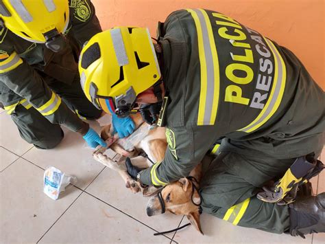 Departamento de Policía Cauca on Twitter Nuestros policías de