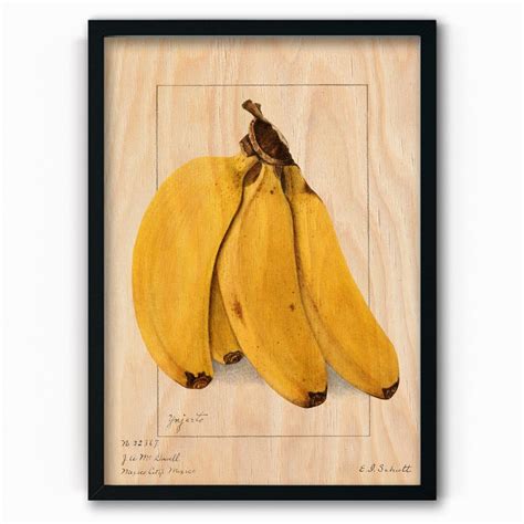 Plakat Na Drewnie Bananas 1904 By Ellen Isham Schutt 20x30 Czarna Ramka