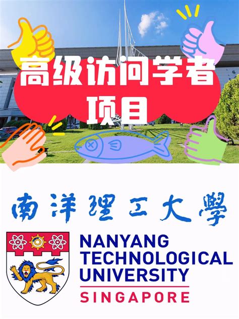 新加坡南洋理工大学访问学者项目简章中的申请条件！ 哔哩哔哩