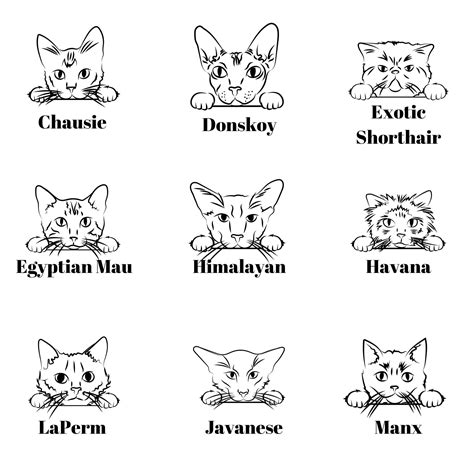 custom personalized cat breed  sweatshirt crewneck pet memorial