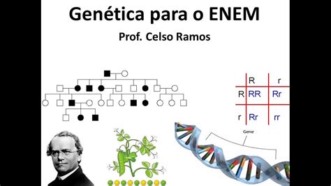 Quest Es De Polialelia Resolvidas Prof Celso Ramos Sistema Abo E