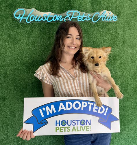 Houston Pets Alive | Houston TX