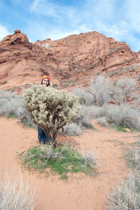 Roadtrippin' | Red Cliffs Hike | Southern Utah | The Salt Project