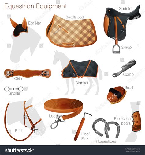 Set Equestrian Equipment Horse Saddle Bridle Stock Illustration ...