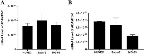 The Mrna Expression Profile Of Adamts And Adamts Are Shown A