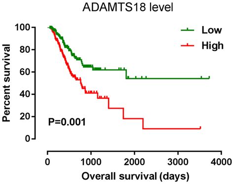 Kaplan Meier Overall Survival Analysis Of Patients With Stomach