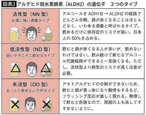 ｢飲み続けると強くなる｣は本当だが､そもそも飲酒量はゼロのほうがいい…｢お酒と健康｣をめぐる3つの真実｜infoseekニュース