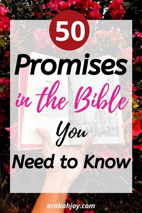 Promises Of God In Scripture 50 Scripture Promises You Can Count On