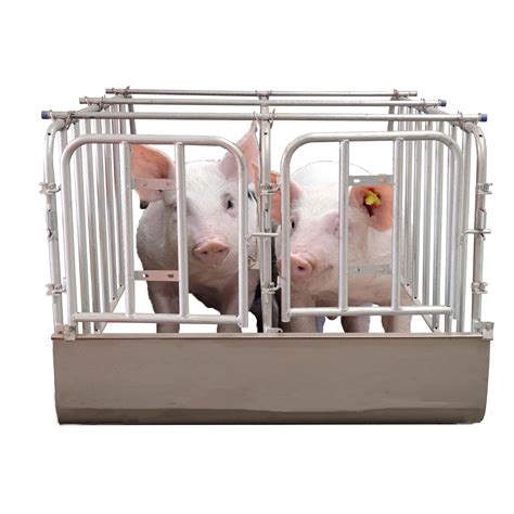 Sow Crate Gestation Stall Galvanized Cages Buy Pig Gestation Stall