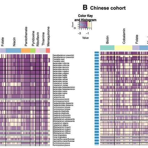 Heatmap Showing Relative Gene Abundance Of Reactions Associated With Download Scientific