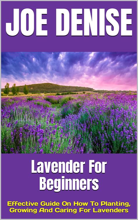 Lavender For Beginners : Effective Guide On How To Planting, Growing